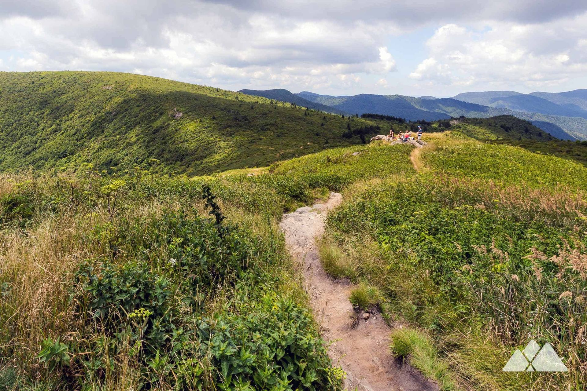 Art Loeb Trail at Black Balsam Knob
