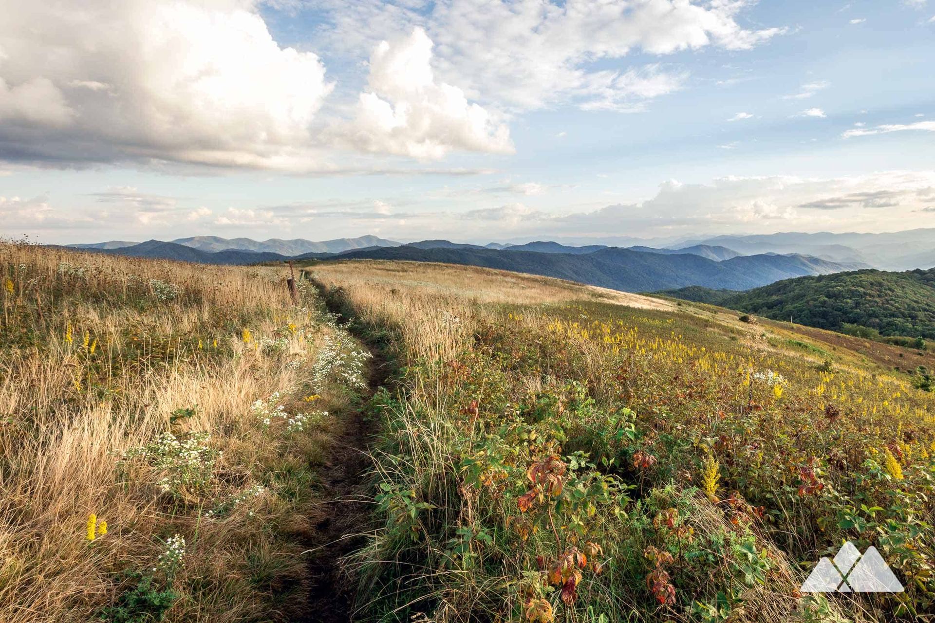 Max Patch on the Blue Ridge Parkway